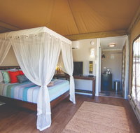 Dubbo Rhino Lodge - Tourism Adelaide