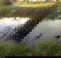 Harewood House Bed and Breakfast - Tourism Adelaide