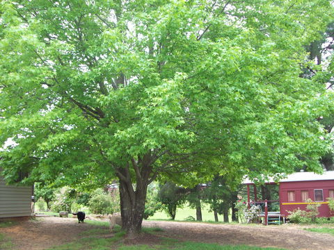 Hill End Holiday Ranch - Tourism Adelaide 0