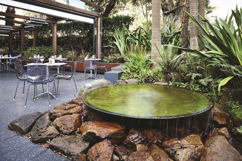 Hotel Urban St Leonards - Tourism Adelaide 0