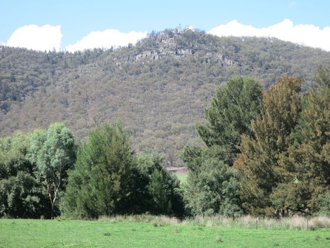 Jessica's Guest House And Vineyard - Tourism Adelaide 0