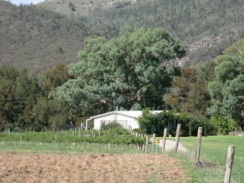 Jessica's Guest House And Vineyard - Tourism Adelaide 2