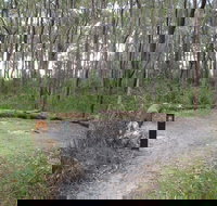 Meroo Head campground - Tourism Adelaide