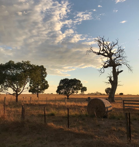 Rocklea Farm - Tourism Adelaide 0