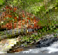 The Mouses House - Rainforest Retreat - Tourism Adelaide