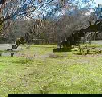 Tin Mines campground - Tourism Adelaide