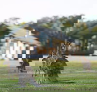 Yering Gorge Cottages - Tourism Adelaide