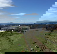 Cheeky Fox Retreat - Tourism Adelaide