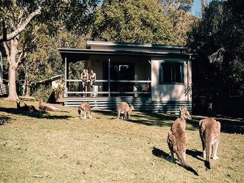 Depot Beach Cabins - Tourism Adelaide 0