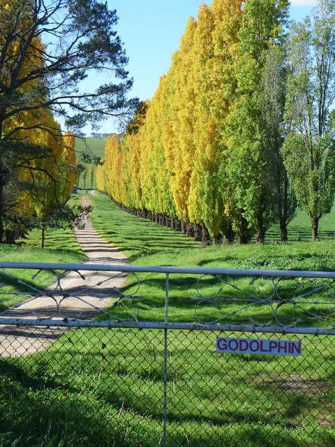 Godolphin Country Accommodation - Tourism Adelaide 1