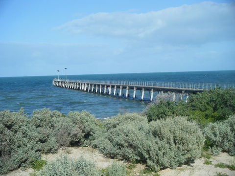 Haslam Campground - Tourism Adelaide 0