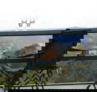 Hatters Hideout Lyres Loft - Tourism Adelaide