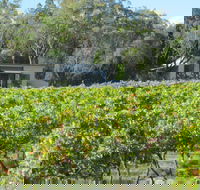 Just Red Wines Vineyard Cabins - Tourism Adelaide