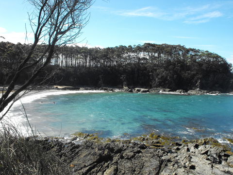 Lilli Pilli Beach Bed And Breakfast - Tourism Adelaide 2