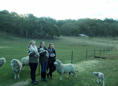 Old Minton Farmstay - Tourism Adelaide 1