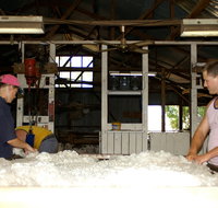 Pelican Sheep Station - Tourism Adelaide