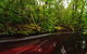 Tarkine Wilderness Lodge - thumb 1