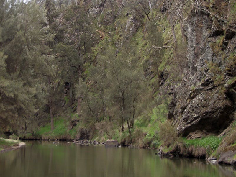 Greenwich Park NSW Tourism Adelaide