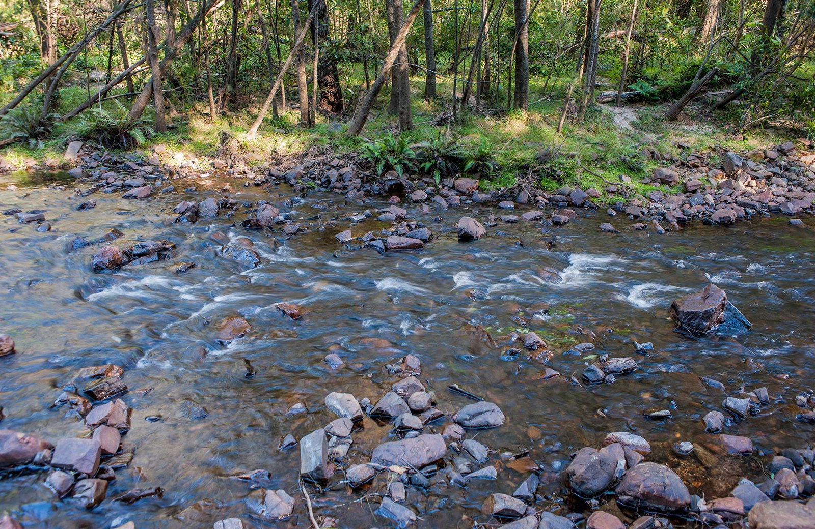 West Nowra NSW Tourism Adelaide