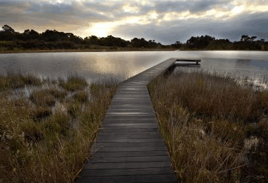 Hidden Valley Forest Retreat - Tourism Adelaide 4