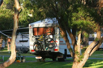 BIG4 Albany Gardens Holiday Resort - Tourism Adelaide 3