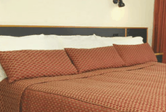 Margarets Forest Holiday Apartments - Tourism Adelaide 0