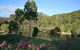 Forest Lodge Resort - thumb 3