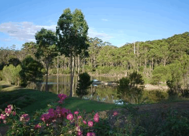 Forest Lodge Resort - Tourism Adelaide 3