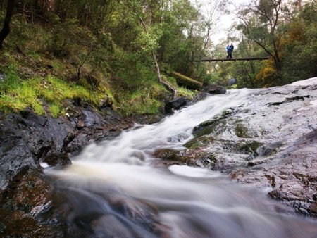 Karri Valley Resort - Tourism Adelaide 2