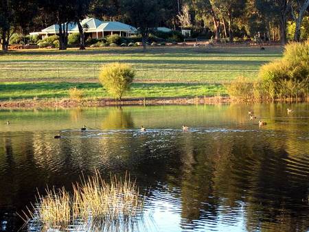 Lakeview Lodge - Tourism Adelaide 2