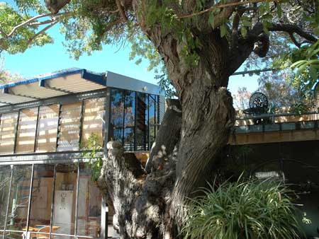 The Painted Fish - Tourism Adelaide 3