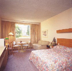 Country Comfort Armidale - Tourism Adelaide 3