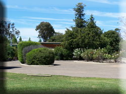 Rose Villa Motel - Tourism Adelaide 1