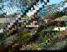 Grass Trees Escape - Tourism Adelaide 0