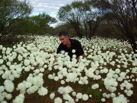 Wandina Station Stay - Tourism Adelaide 1