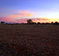 Wogarno Homestead - Tourism Adelaide