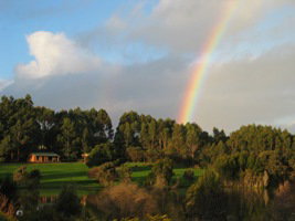 Pemberton Lavender And Berry Farm Cafe And Cottages - Tourism Adelaide 3