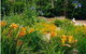 Warren River Cottages - thumb 1