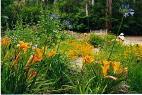 Warren River Cottages - Tourism Adelaide 1