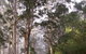 Warren River Cottages - thumb 2