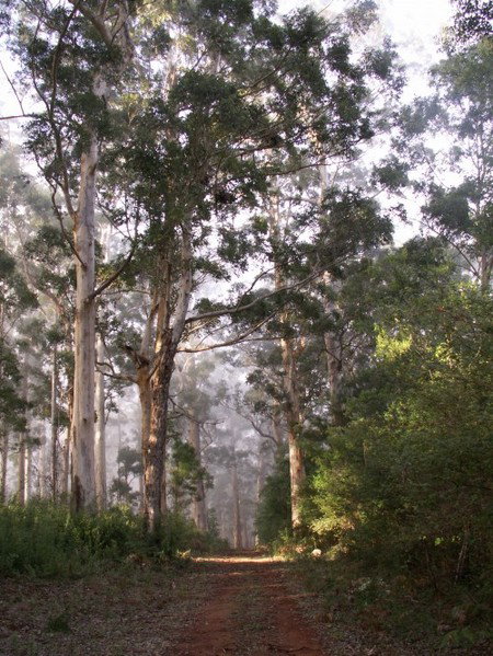 Warren River Cottages - Tourism Adelaide 2