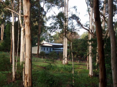 Pemberton Camp School - Tourism Adelaide 5