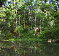 Peppermint Grove Retreat - Tourism Adelaide