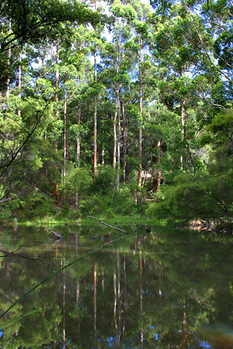 Peppermint Grove Retreat - Tourism Adelaide 0