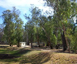 Balranald Caravan Park - Tourism Adelaide 0