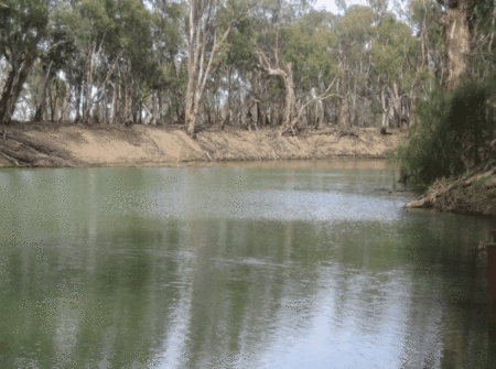 Balranald Club Motel - Tourism Adelaide 1