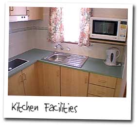 Barham Caravan And Tourist Park - Tourism Adelaide 1