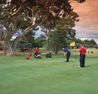 Barham Golf Resort - Tourism Adelaide