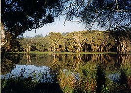 Bush Haven - Tourism Adelaide 3