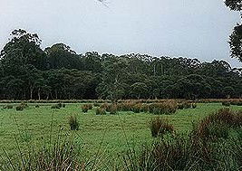 Bush Haven - Tourism Adelaide 4